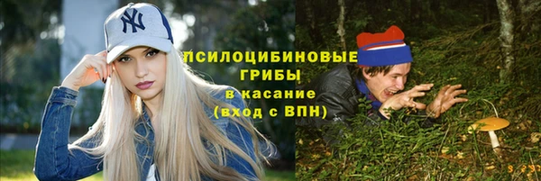 мяу мяу мука Кодинск