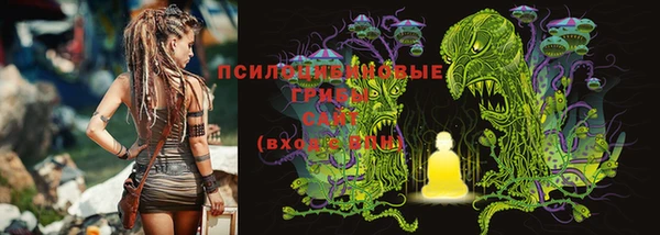 MDMA Premium VHQ Козельск