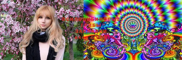 MDMA Premium VHQ Козельск