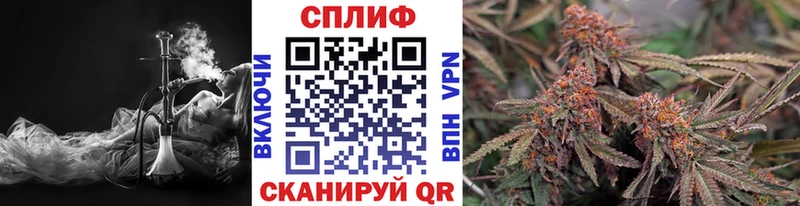 Конопля Amnesia Купить где Магадан